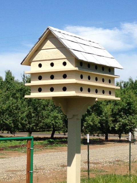 Our birdhouse condo in the pasture